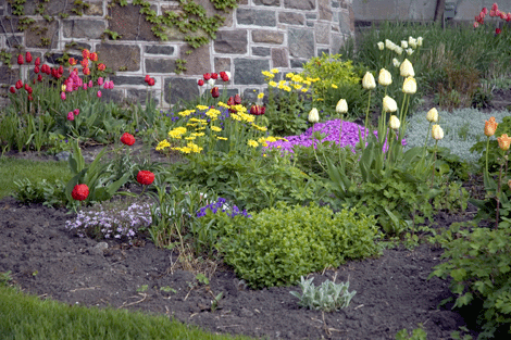 backyard flower garden